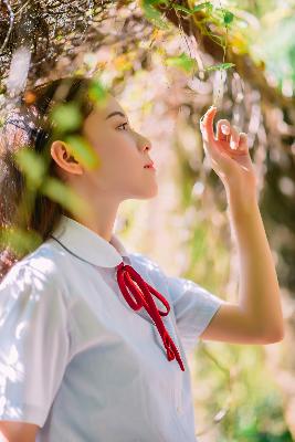 国产大片免费观看电视剧在线