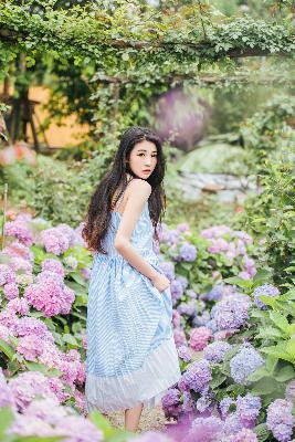 惜花芷电视剧免费观看完整版